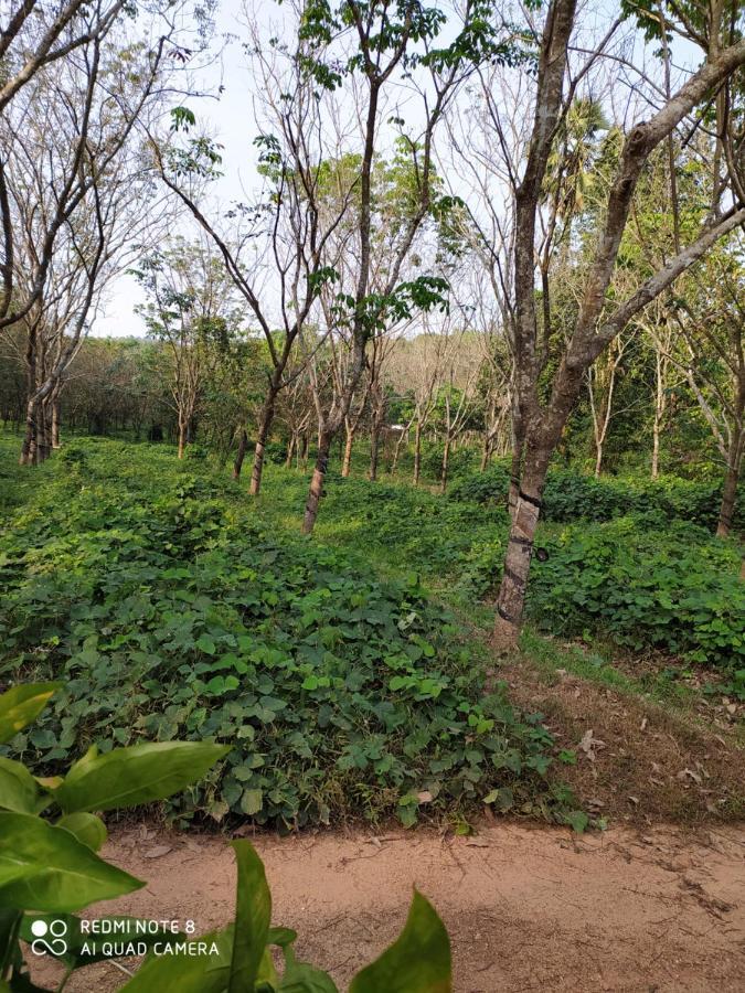 Vanasiri Cottage Dharmastala Esterno foto